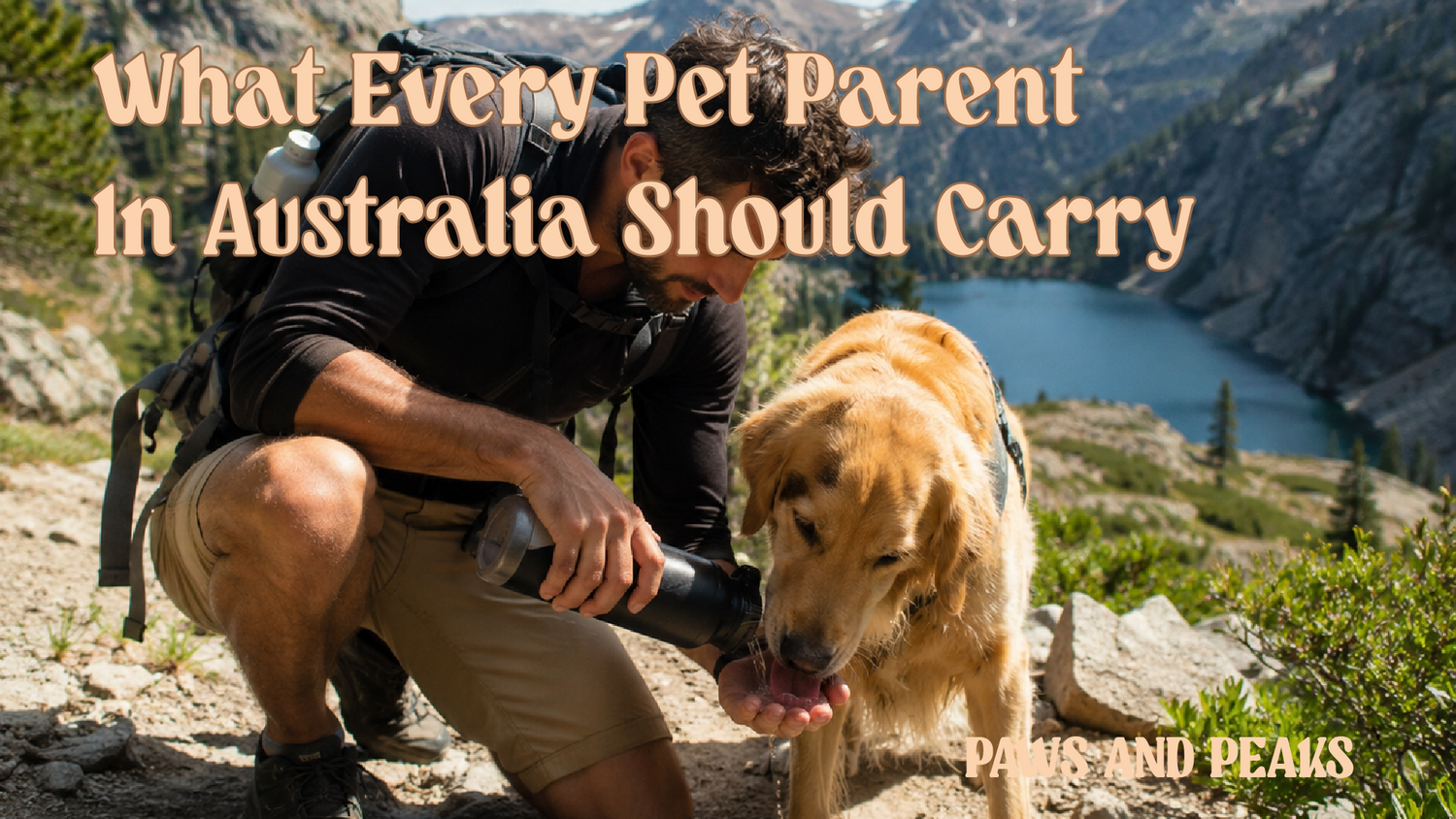 Dog First Aid Kit: What Every Pet Parent in Australia Should Carry?