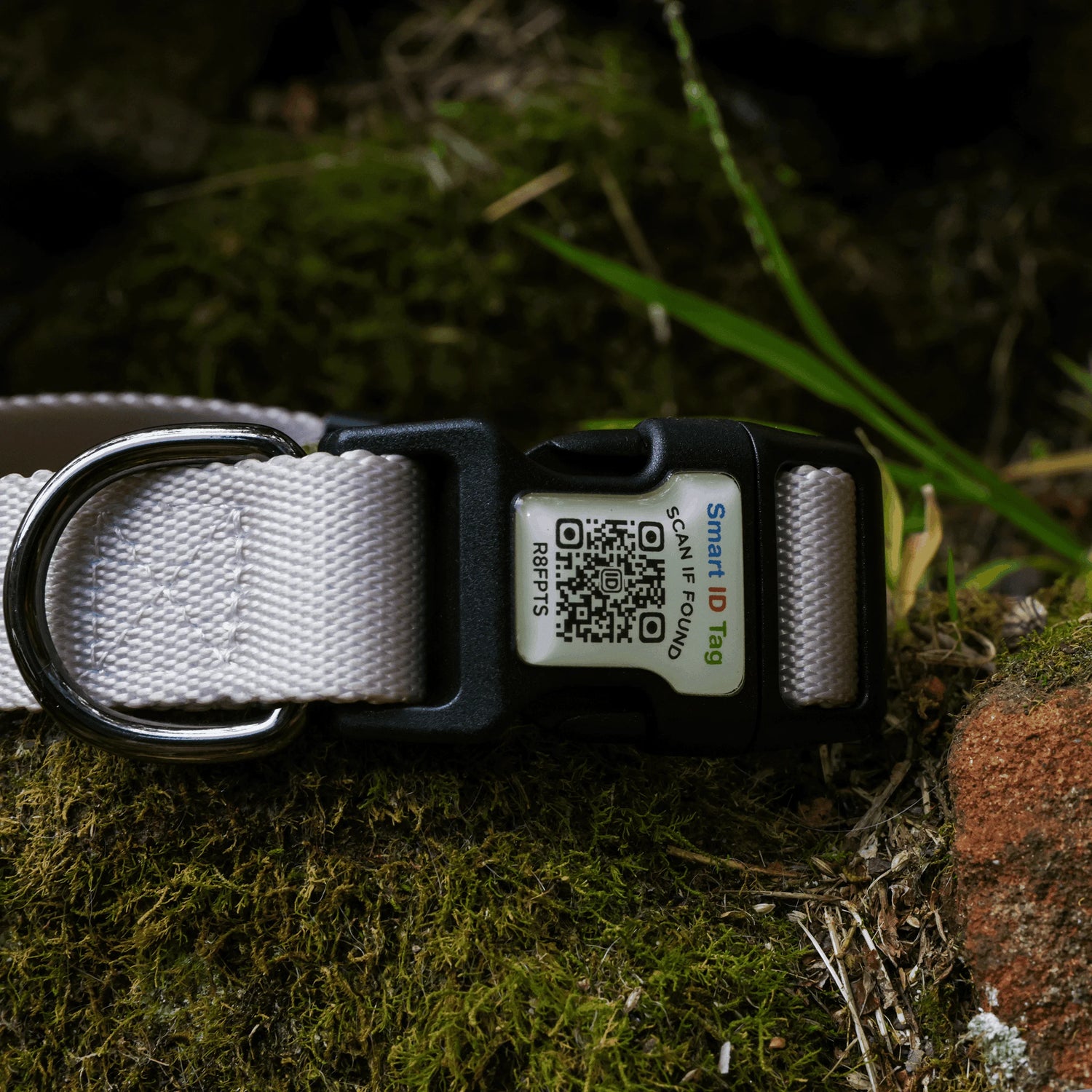 Paws & Peaks QR Code Collar