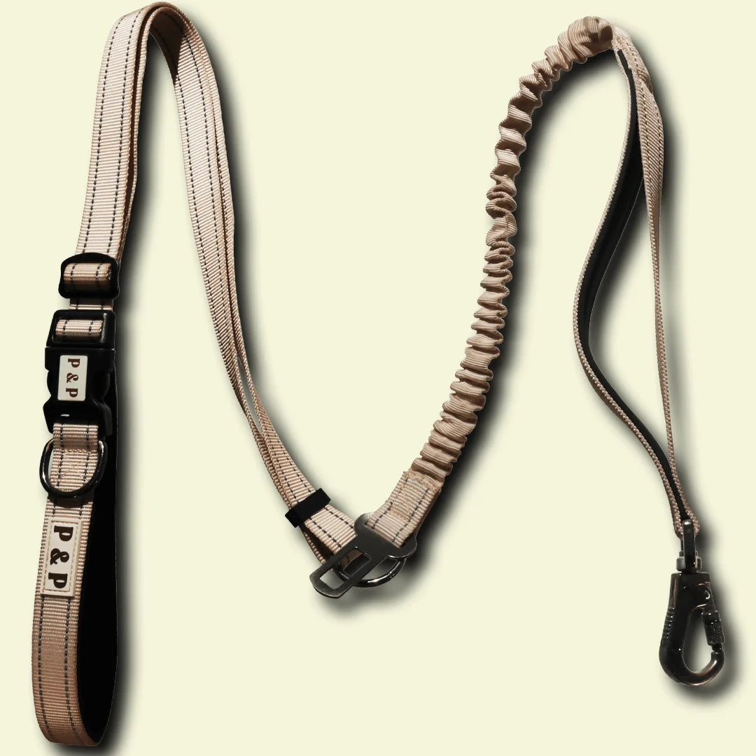 Paws & Peaks Multi-Functional Lead