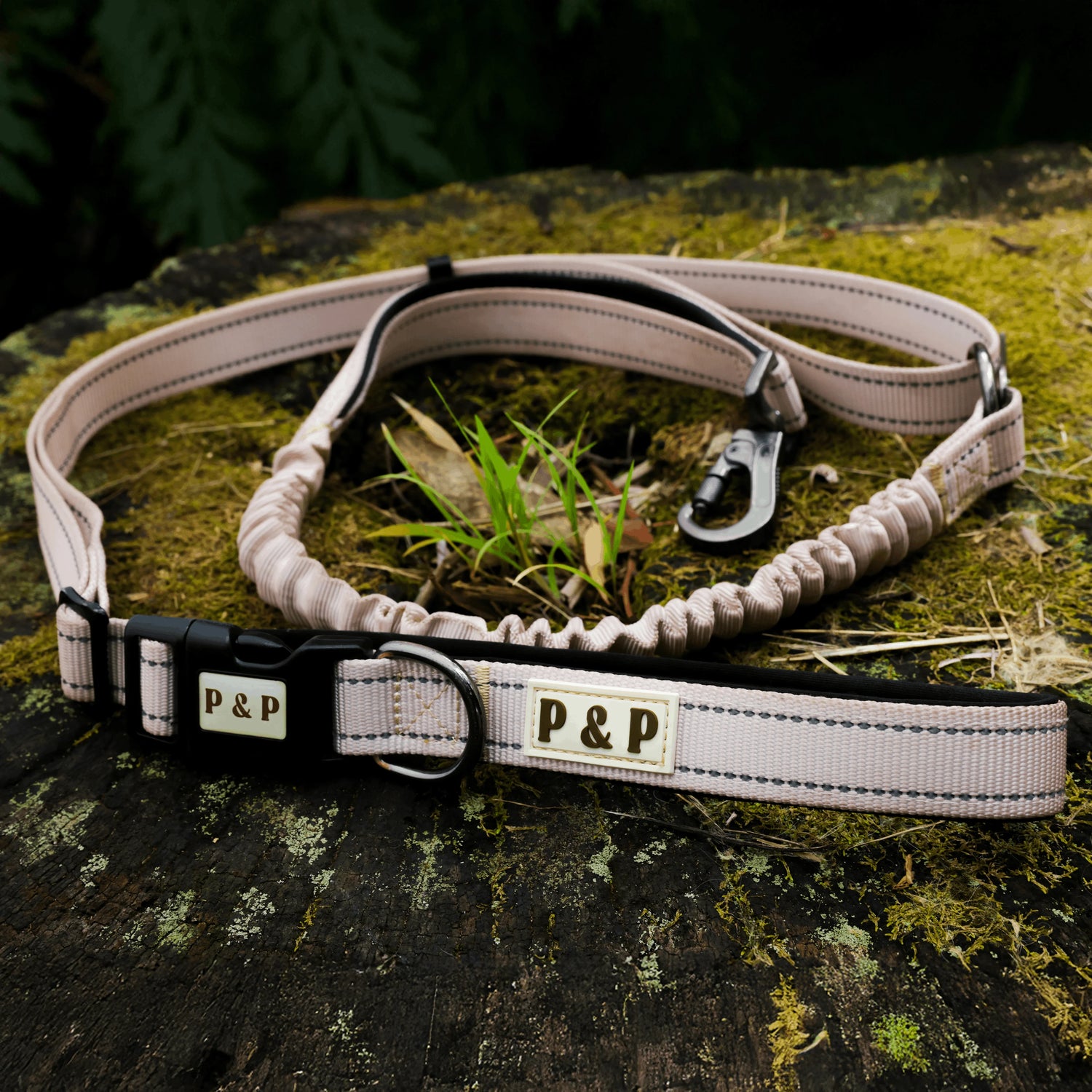 Paws & Peaks Multi-Functional Lead
