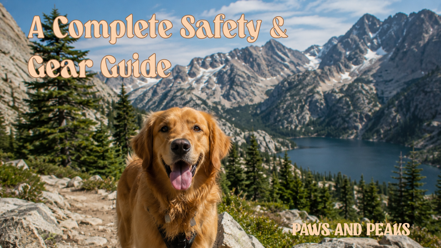 Hiking With Dogs in Australia: A Complete Safety & Gear Guide