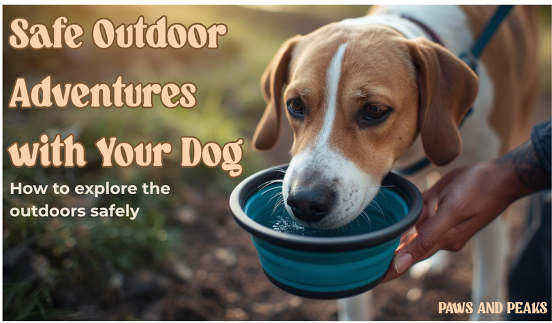 dog drinking water from bowl on hiking trail with owner during outdoor adventure