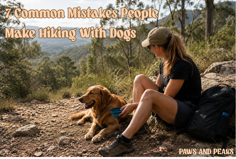 Dog owner giving water to dog during rest break on outdoor hiking trail in Australian bushland