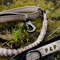 Paws & Peaks Multi-Functional Lead